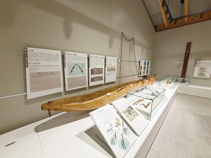 丸木舟の展示